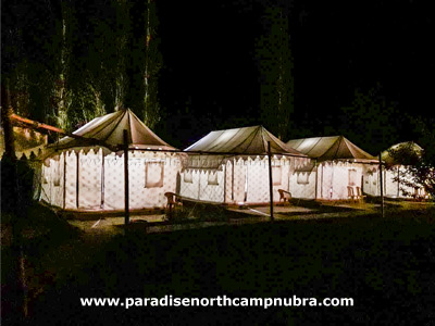 Paradise North Camp Nubra Photos